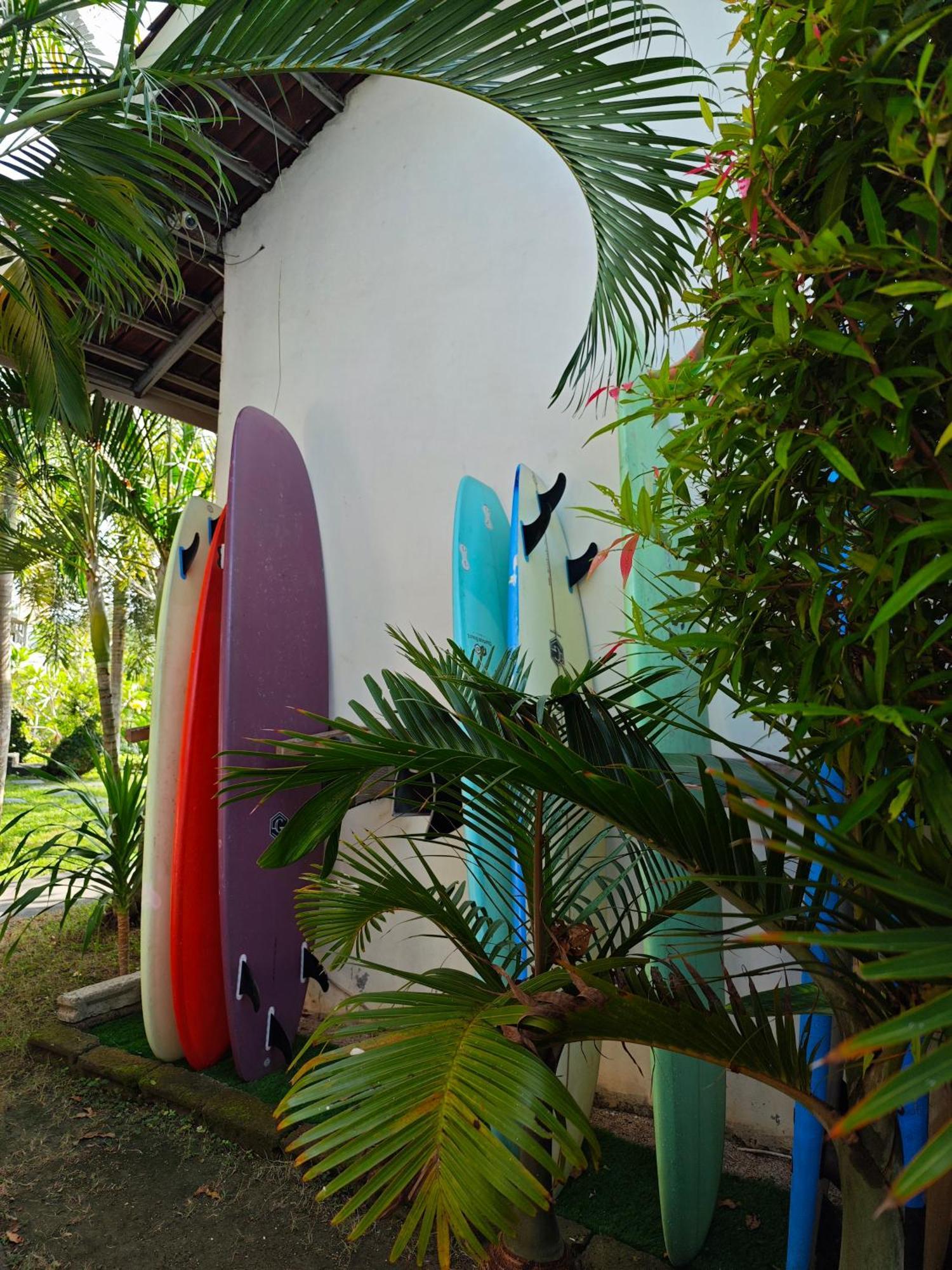 Hotel Surf Camp 79 à Kuta  Extérieur photo