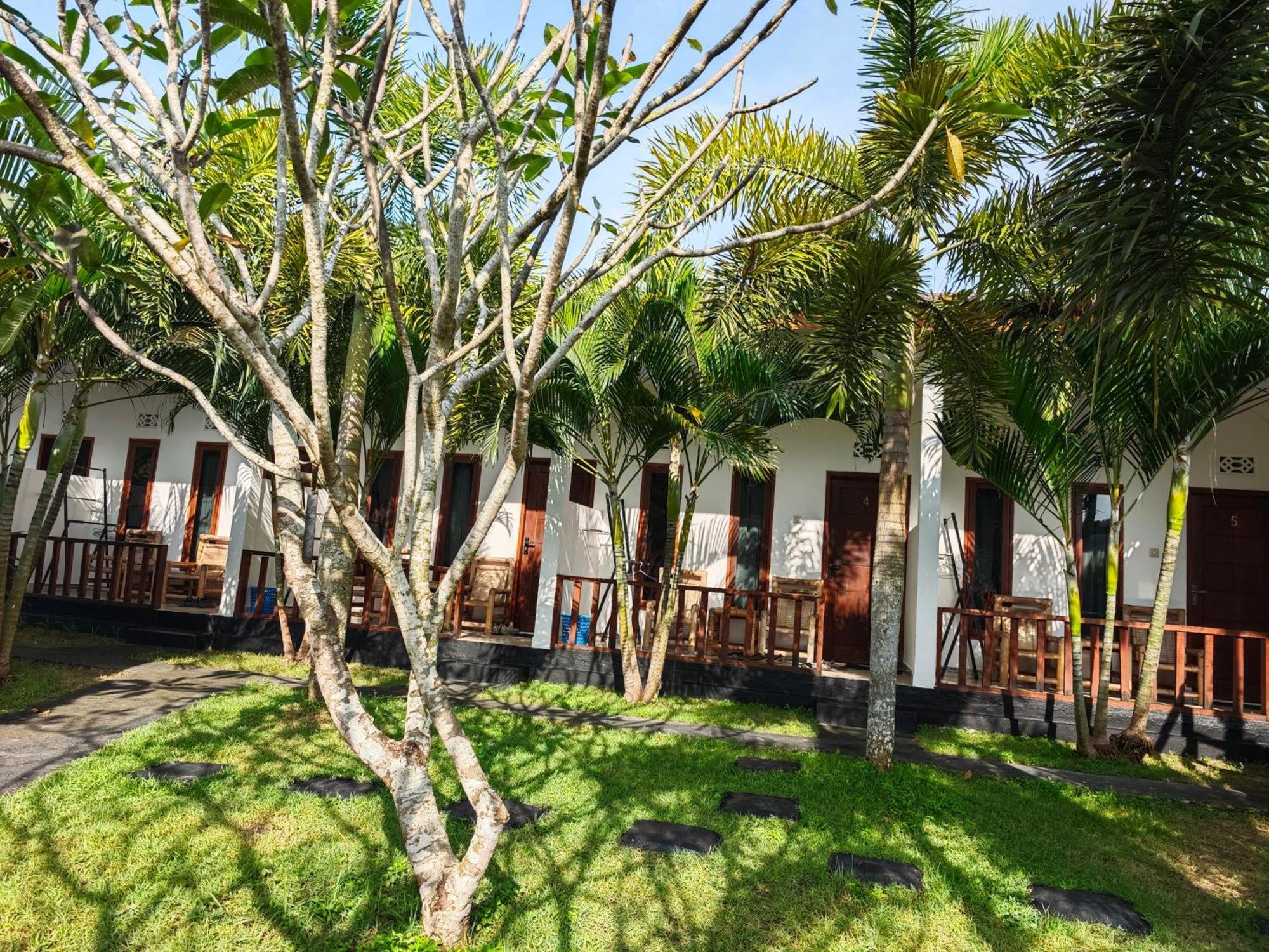 Hotel Surf Camp 79 à Kuta  Extérieur photo